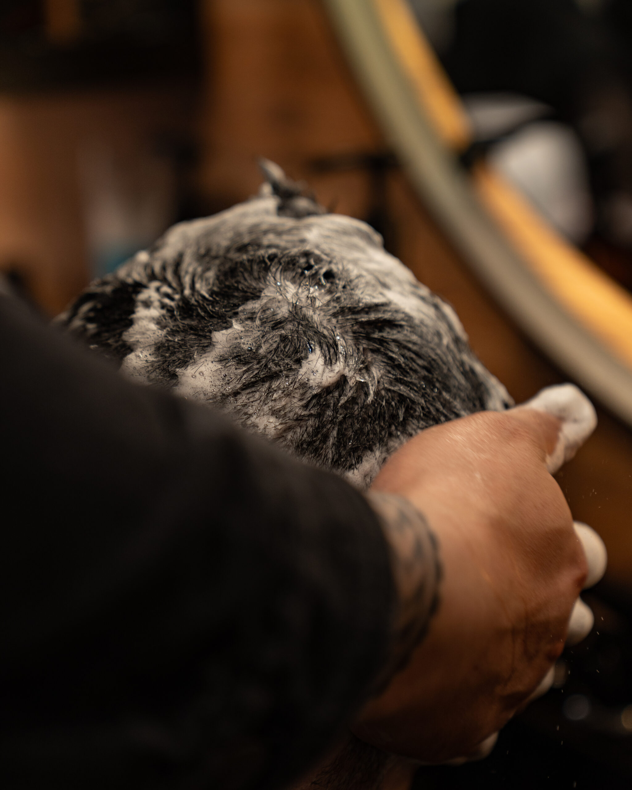 Bosphorus Barber Shop online foglalás